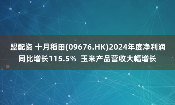 盟配资 十月稻田(09676.HK)2024年度净利润同比增长115.5%  玉米产品营收大幅增长