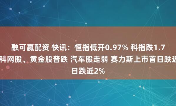 融可赢配资 快讯：恒指低开0.97% 科指跌1.75% 科网股、黄金股普跌 汽车股走弱 赛力斯上市首日跌近2%